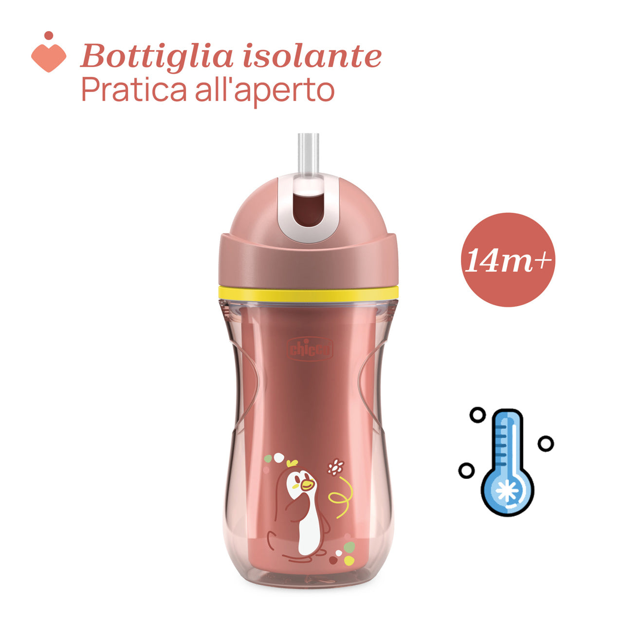 CHICCO TAZZA SPORT 14+